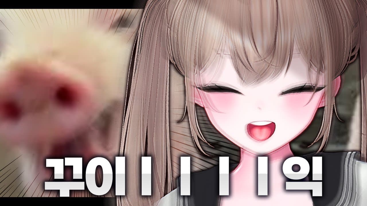 이 소리는 절대 돼지 소리가 아닙니다