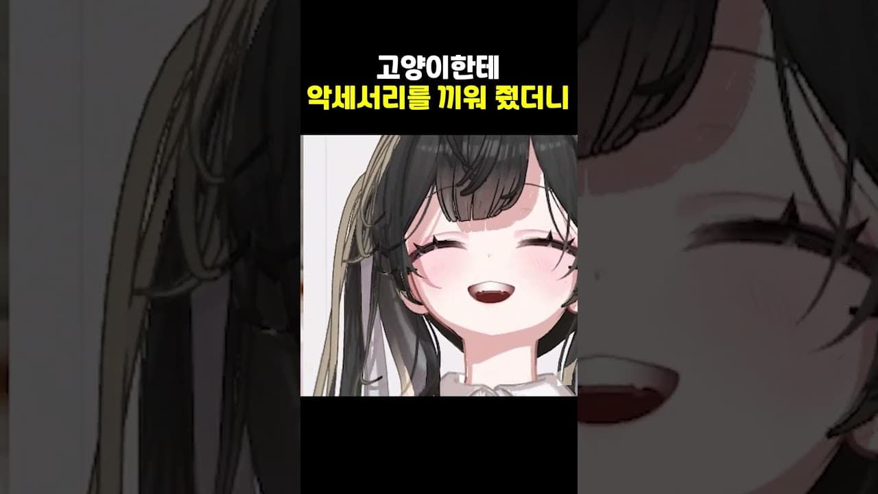 고양이한테 악세서리를 끼워줬더니